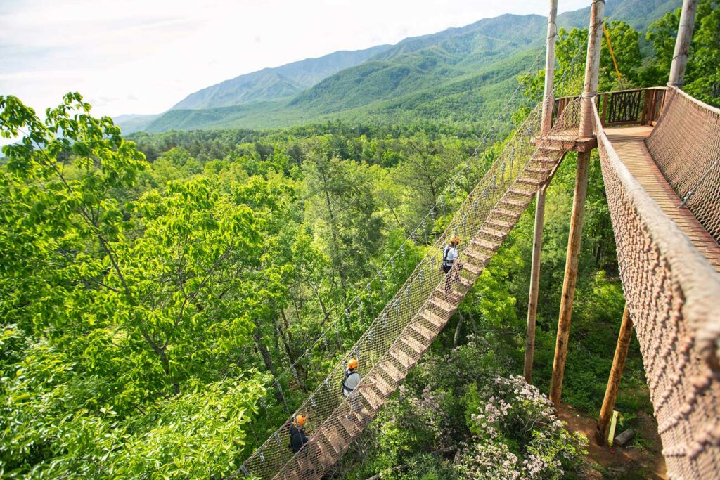 Guests climb a floating staircase among the tree tops of the Great Smoky Mountains National Park